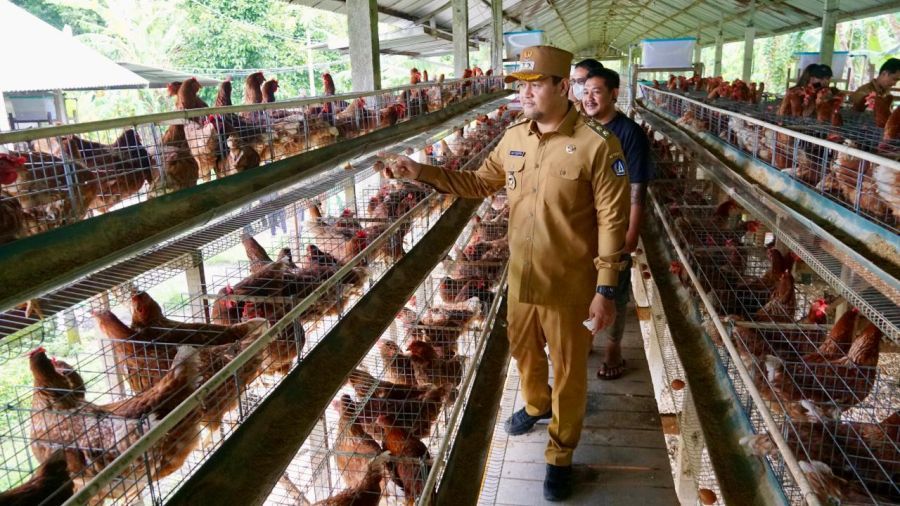 Wabup Badung Bagus Alit Sucipta saat melakukan pemantauan ke sejumlah sentra produksi dan pengolahan pangan utama serta strategis di Kabupaten Badung, Bali, Senin (16/3/2026). (Foto/adi)